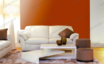 Nulla aliquet libero